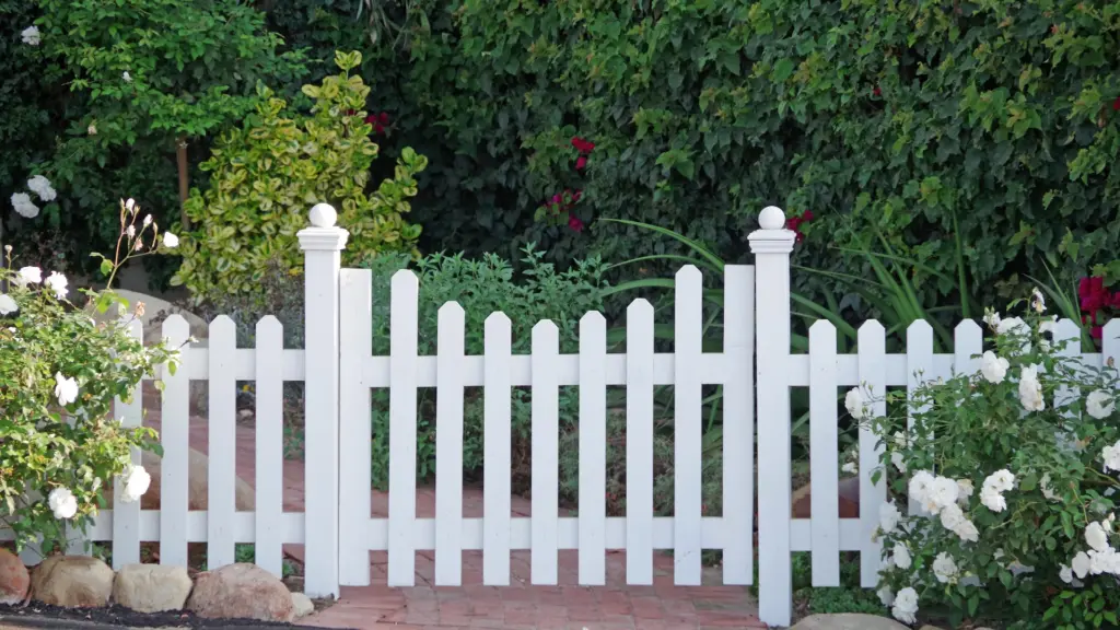 White picket garden fence and gate with rose bushes